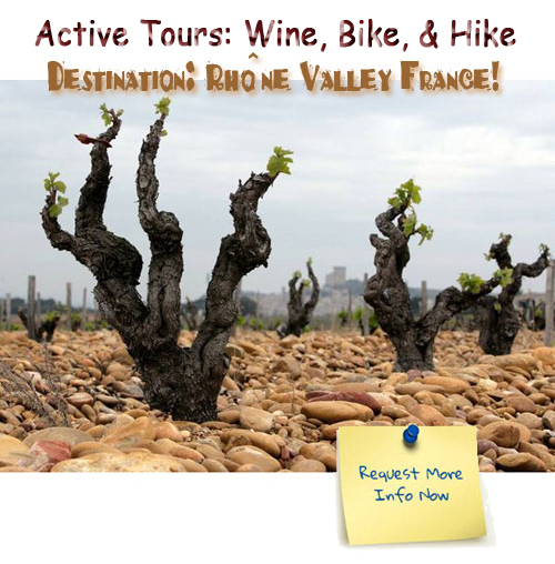 rhone wine tour