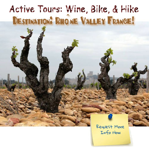 Rhône wine tour